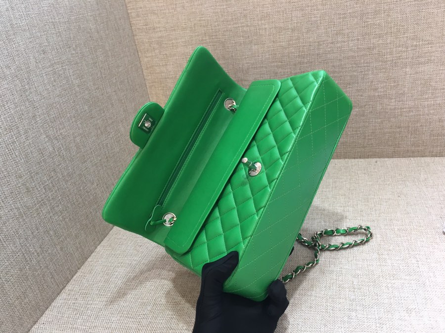 Medium Classic Flap Lambskin Bag AO1112 Green/Silver